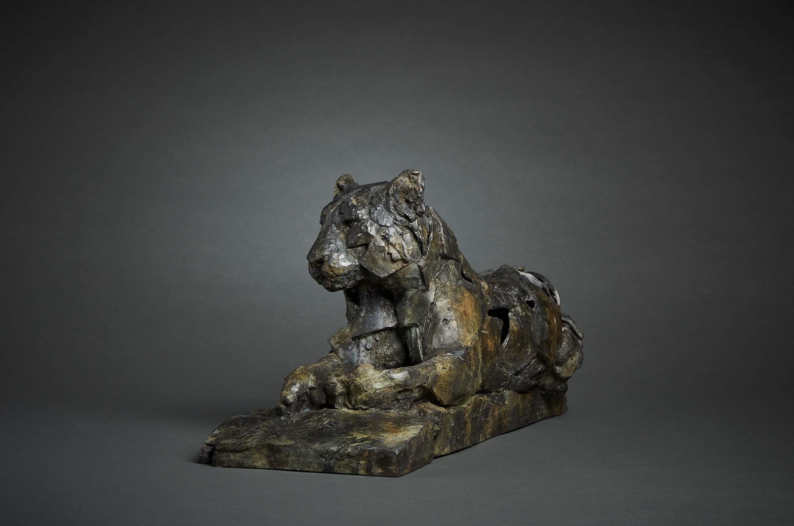 Fred Gordon, Resting Tiger, 2024