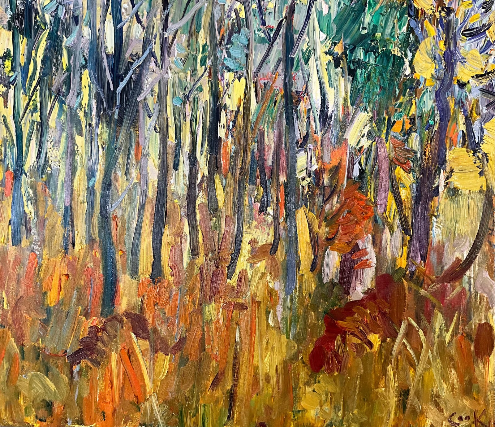 David Mackie Cook, Autumn Trees