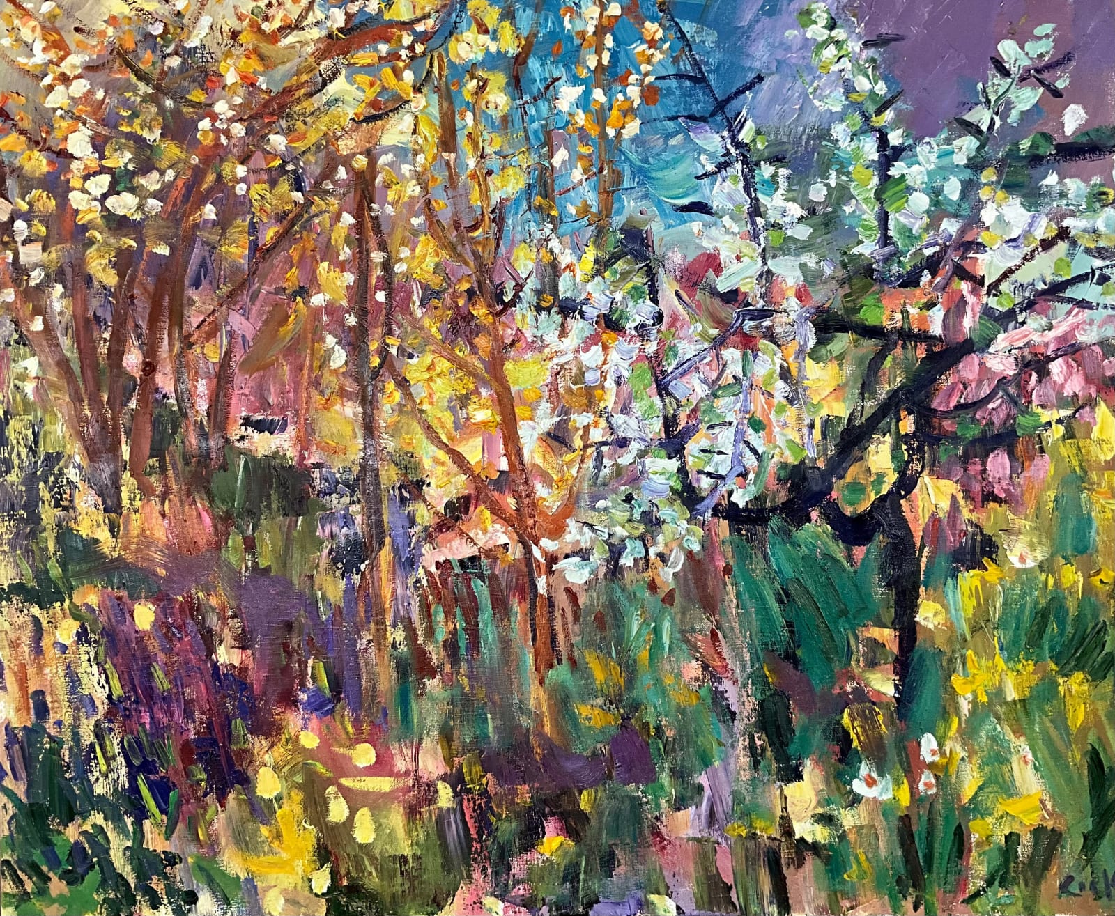 David Mackie Cook, Orchard in Blossom