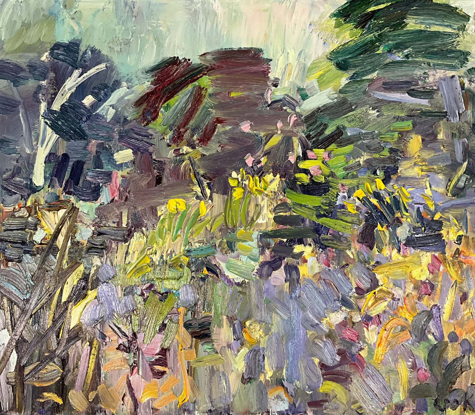 David Mackie Cook, The Garden