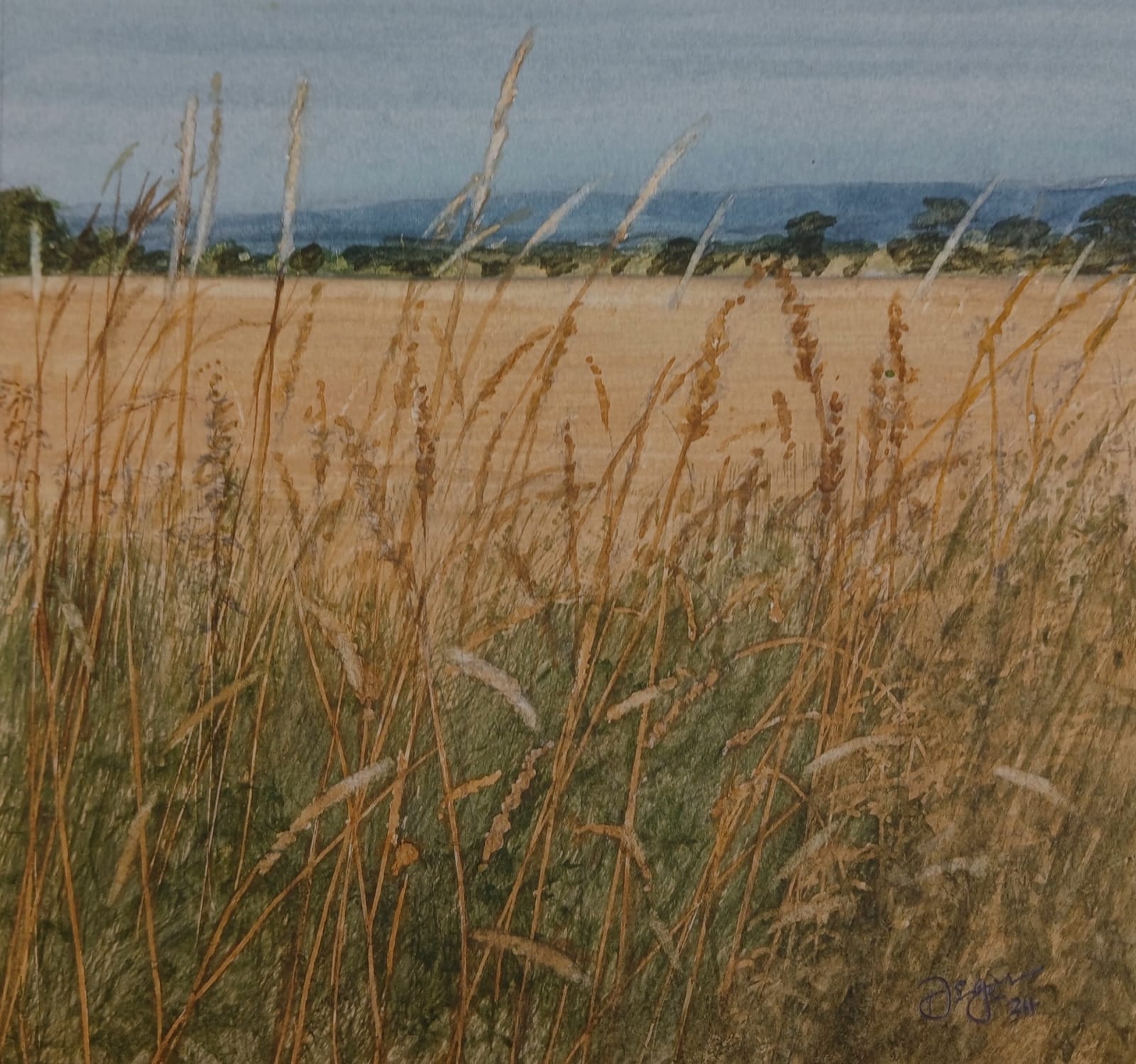 David Johnston RSW, Late Summer Fields Edge, The Mearns