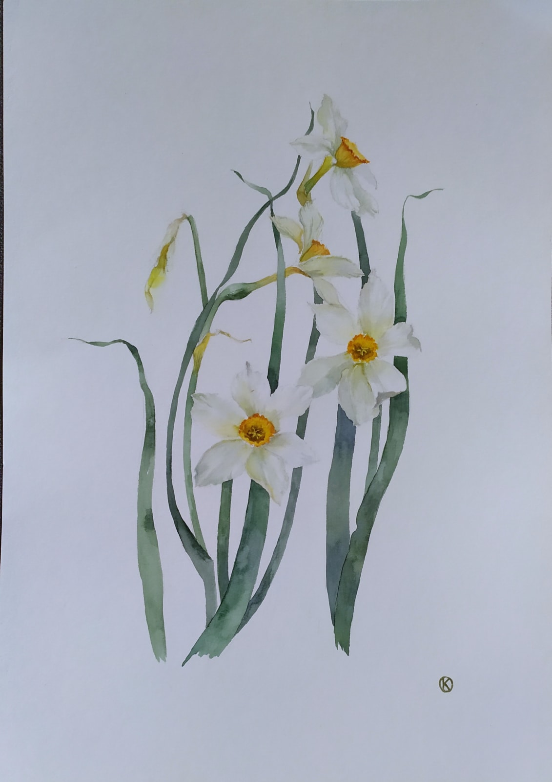 Oksana Kosova, Daffodils