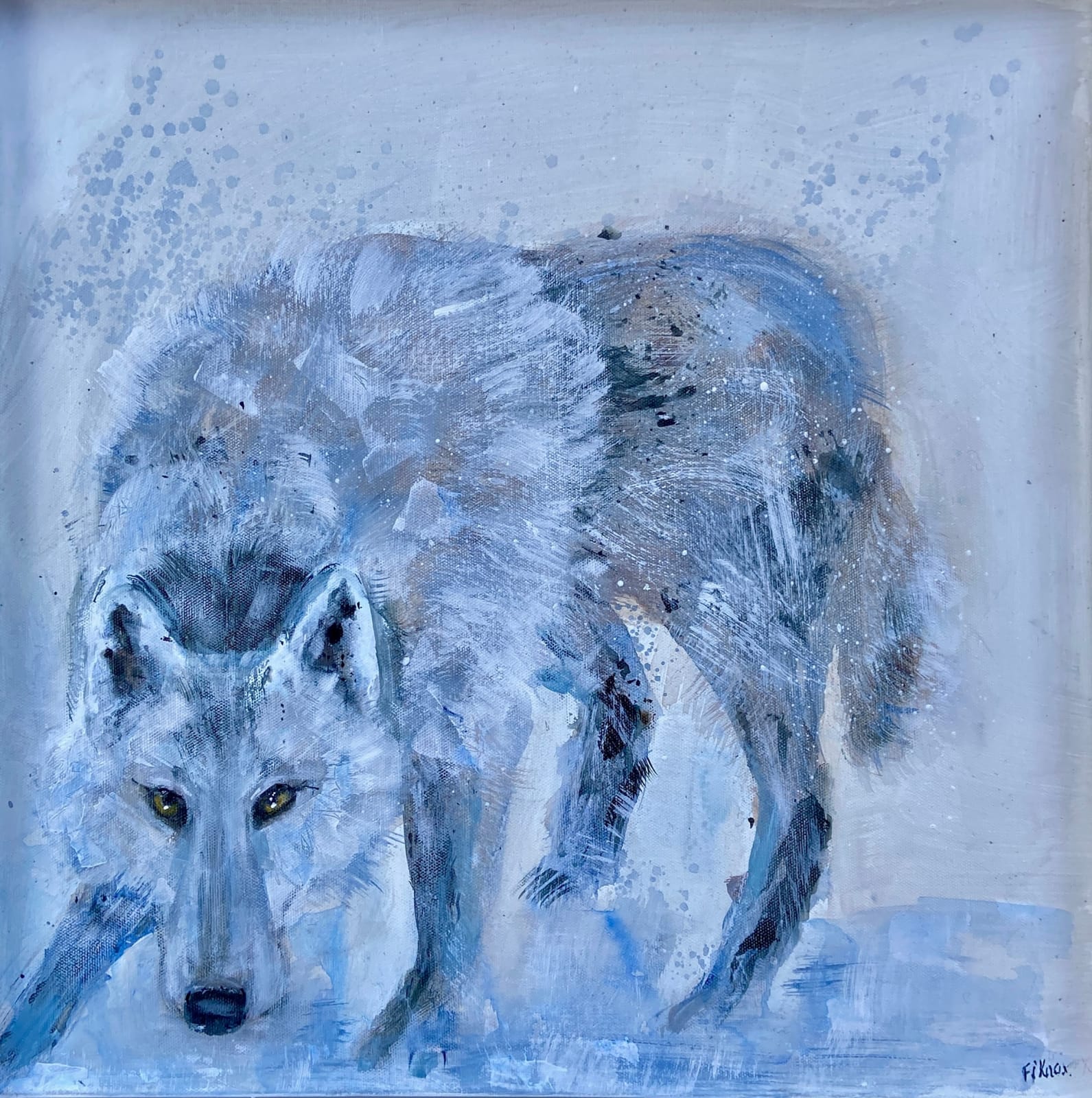 Fi Knox, Wolf in the Snow