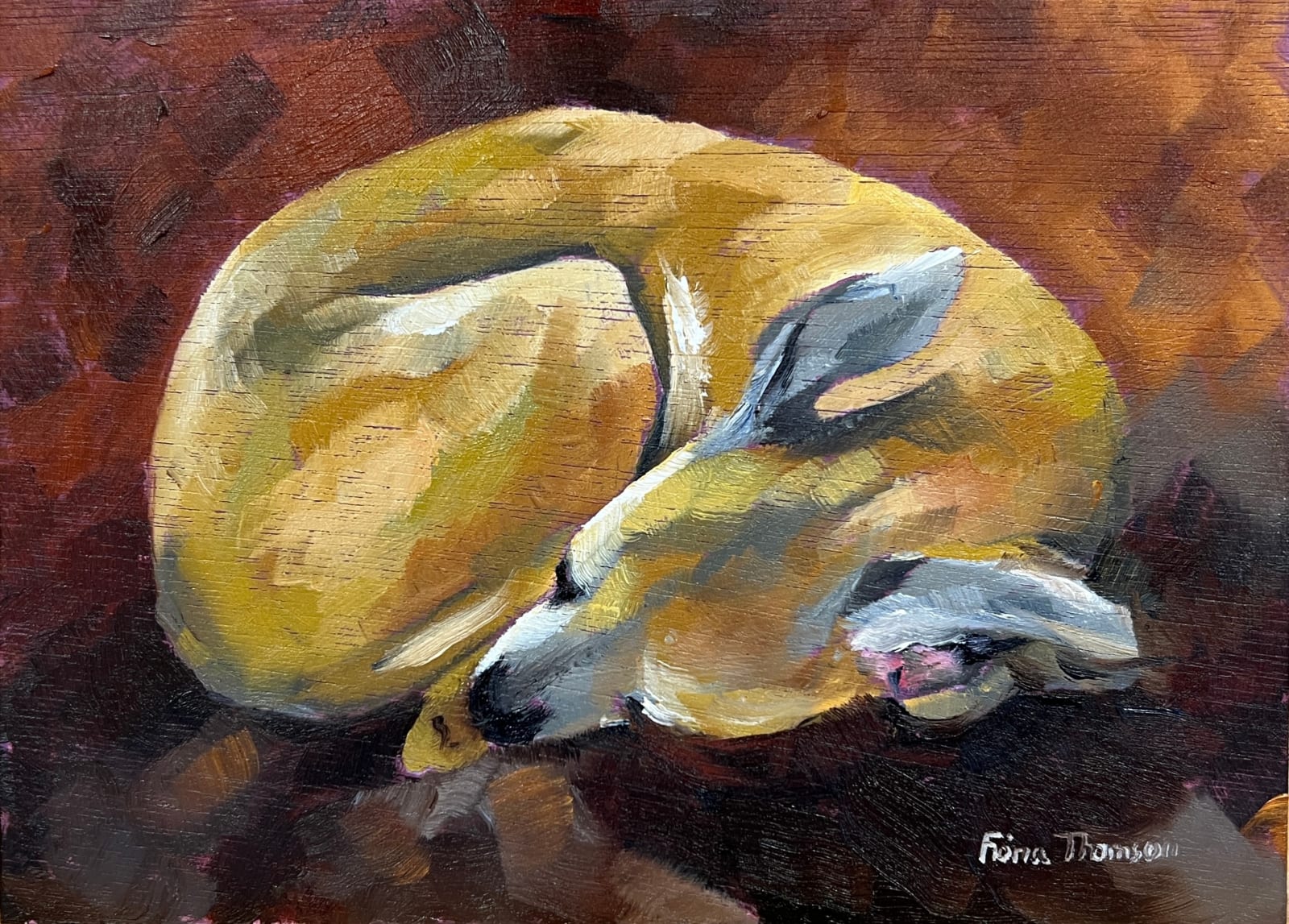 Fiona Thomson, Wee Sleepy Whippet