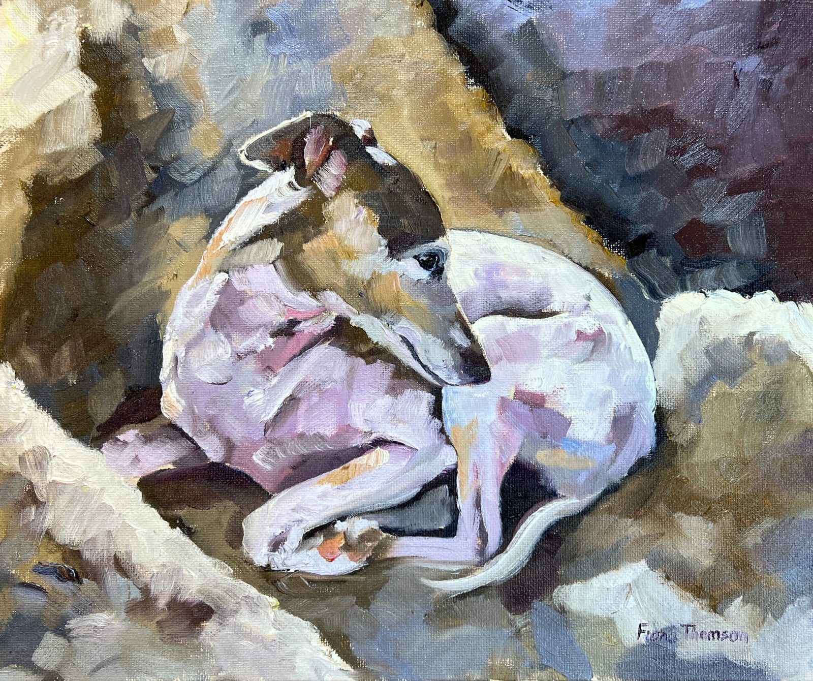 Fiona Thomson, White Dog in the Sun