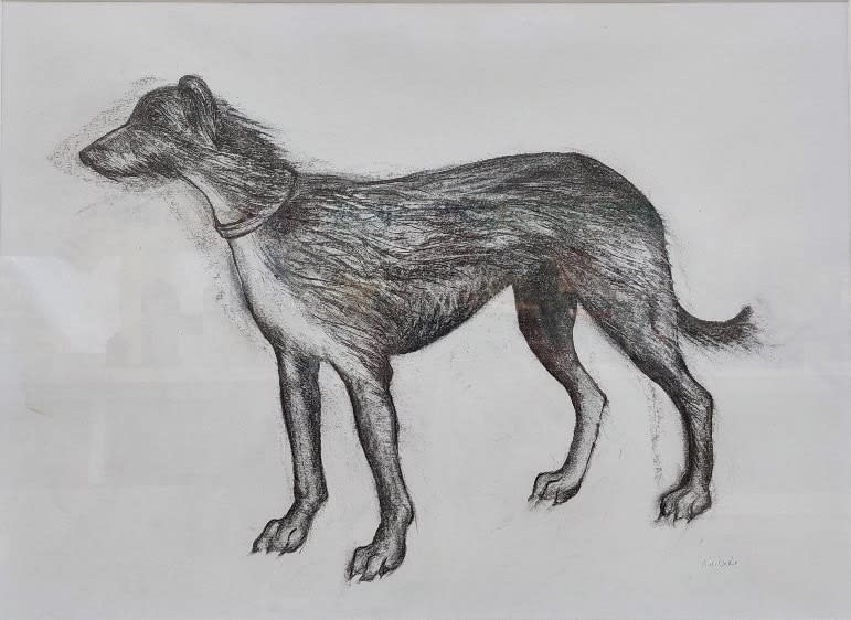 Helen Denerley, Lurcher Drawing