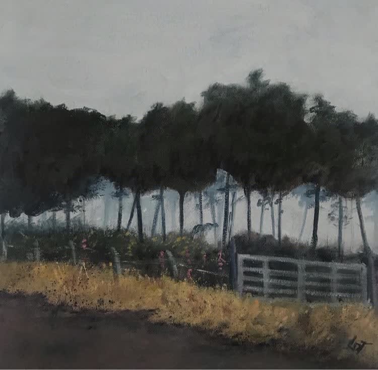 Lorraine Taylor, The Secret of the Woods