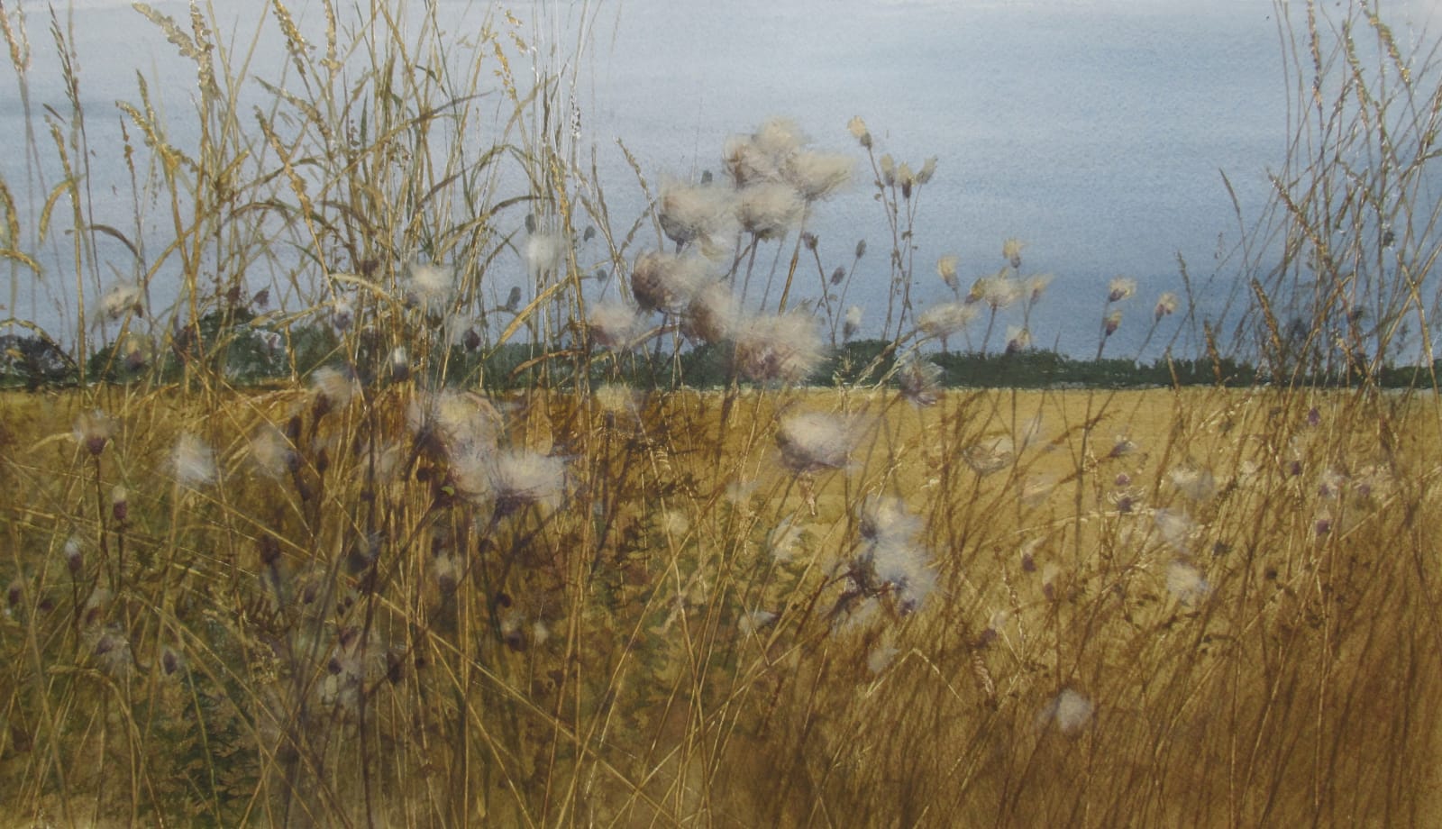 David Johnston RSW, Thistledown