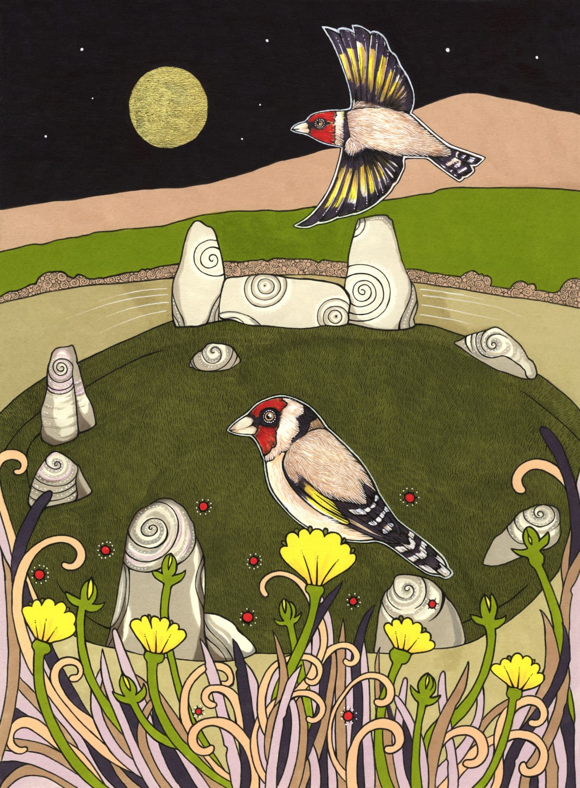 Anita Inverarity, Tomaverie