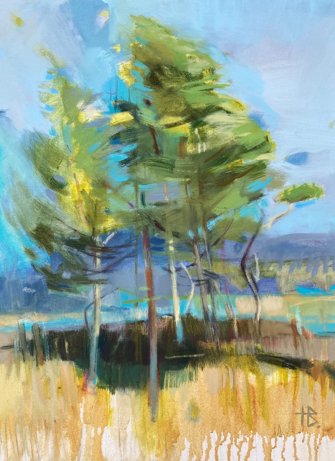 Helen Bruce, Glen Lui Pines I