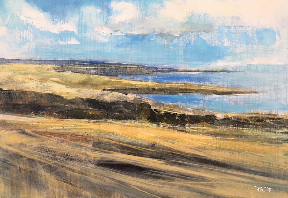 Amanda Phillips, Aberdeenshire Coastline