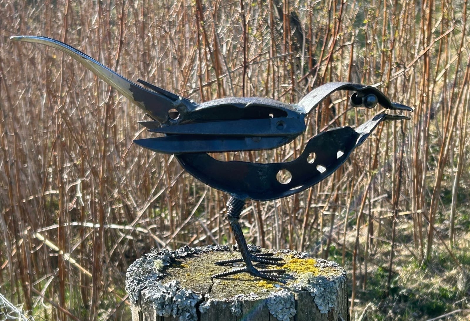 Helen Denerley, Black Bird II