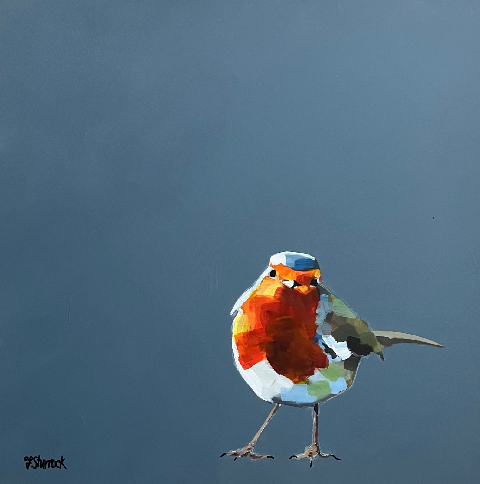 Fiona Sturrock, Robin