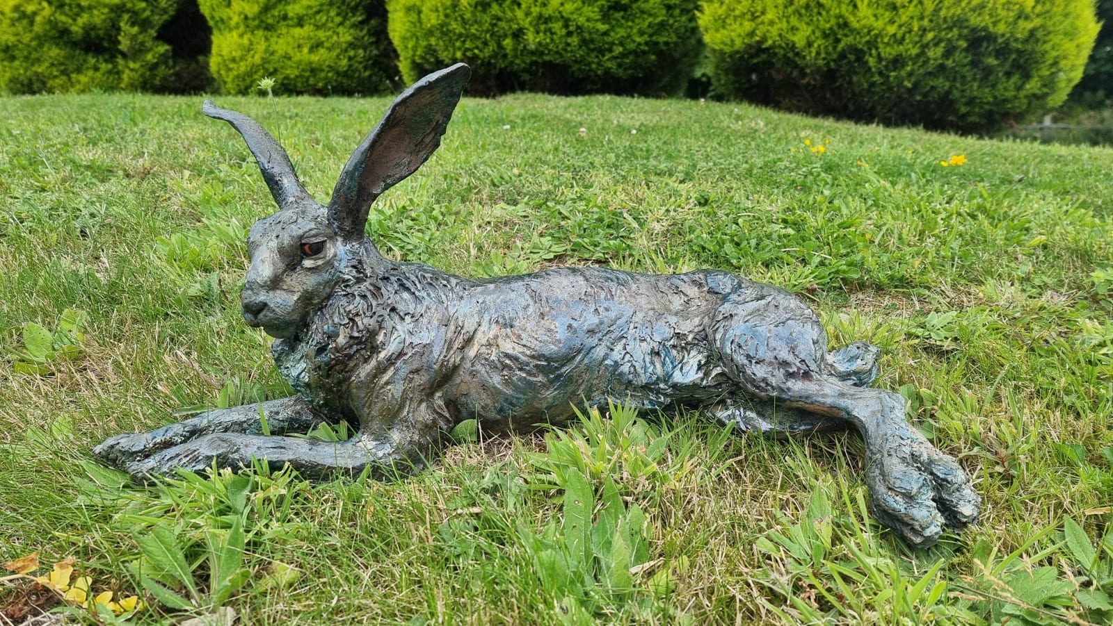 Lesley D McKenzie, Lying Hare