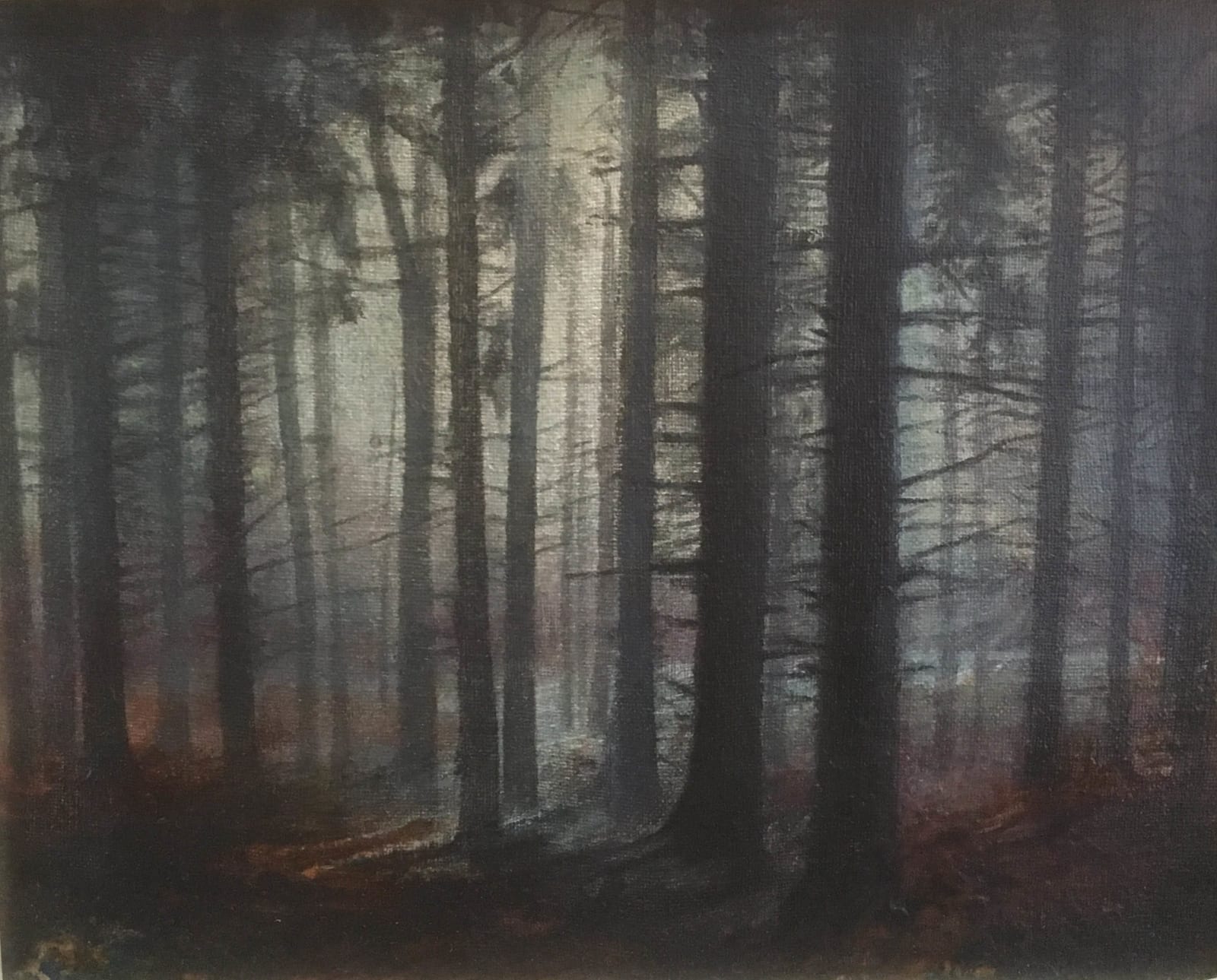 Nerine Tassie, Winter Light Through the Trees