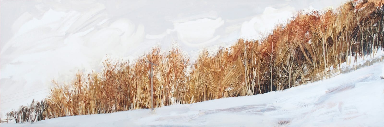 Anna King, Field Edge with Power Lines