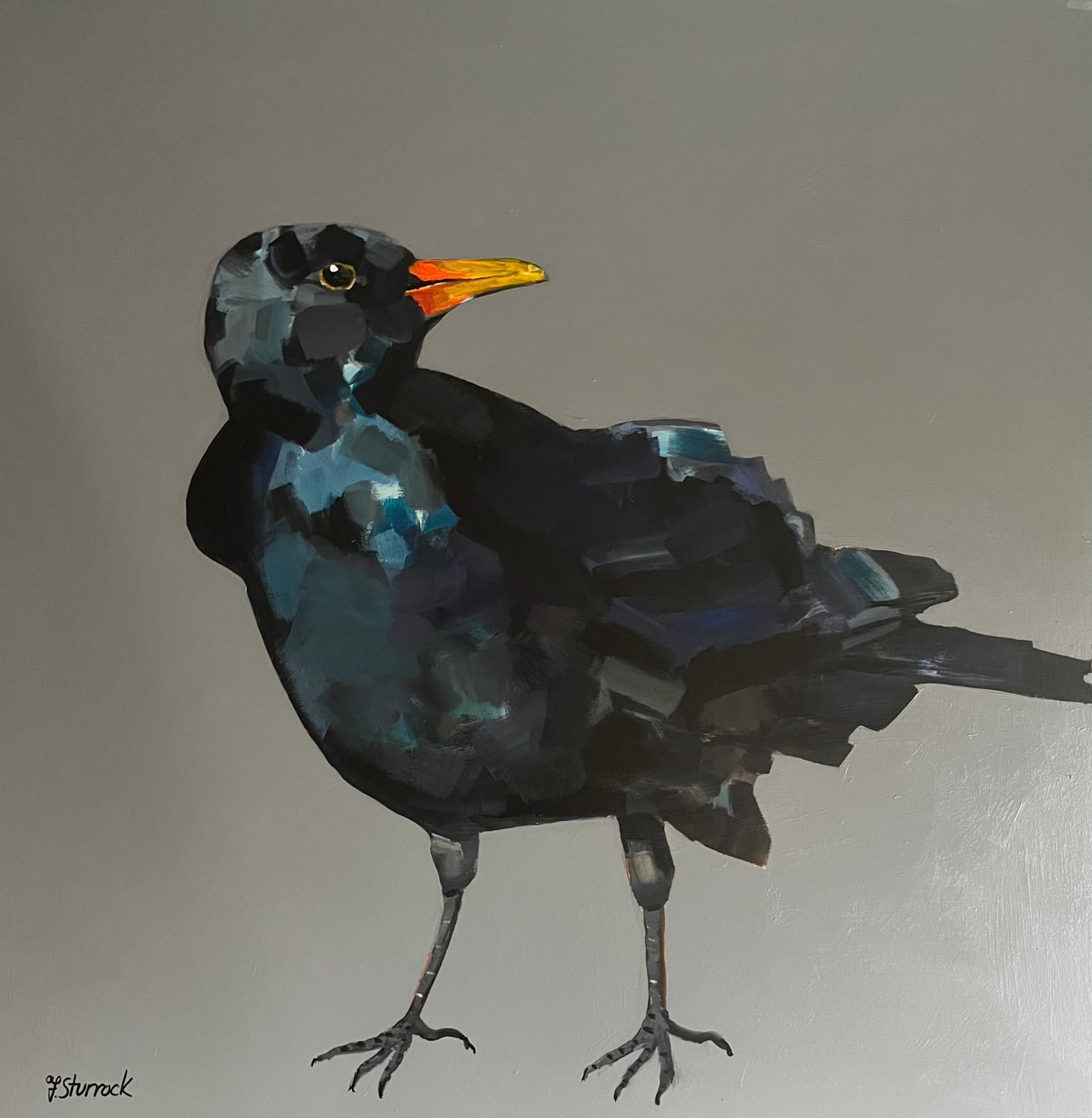 Fiona Sturrock, Blackbird