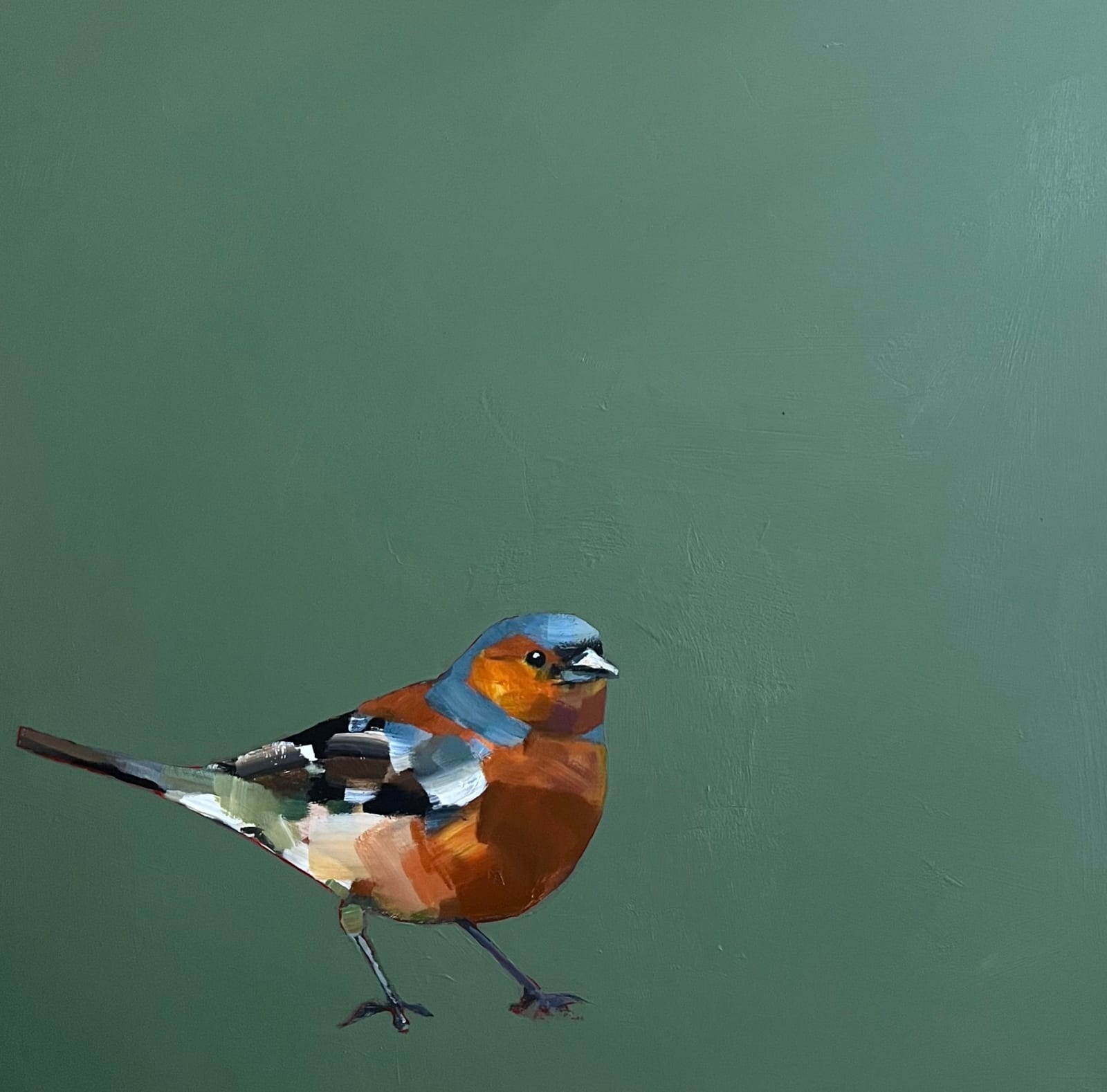 Fiona Sturrock, Chaffinch