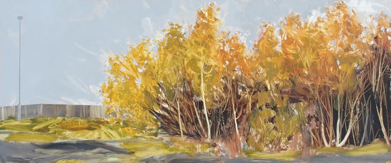 Anna King, Birch on Scrubland