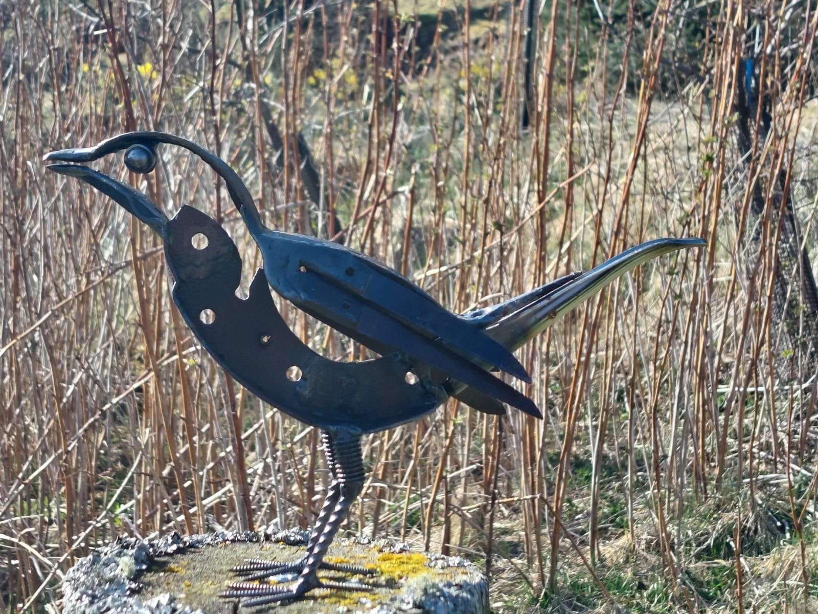 Helen Denerley, Black bird I