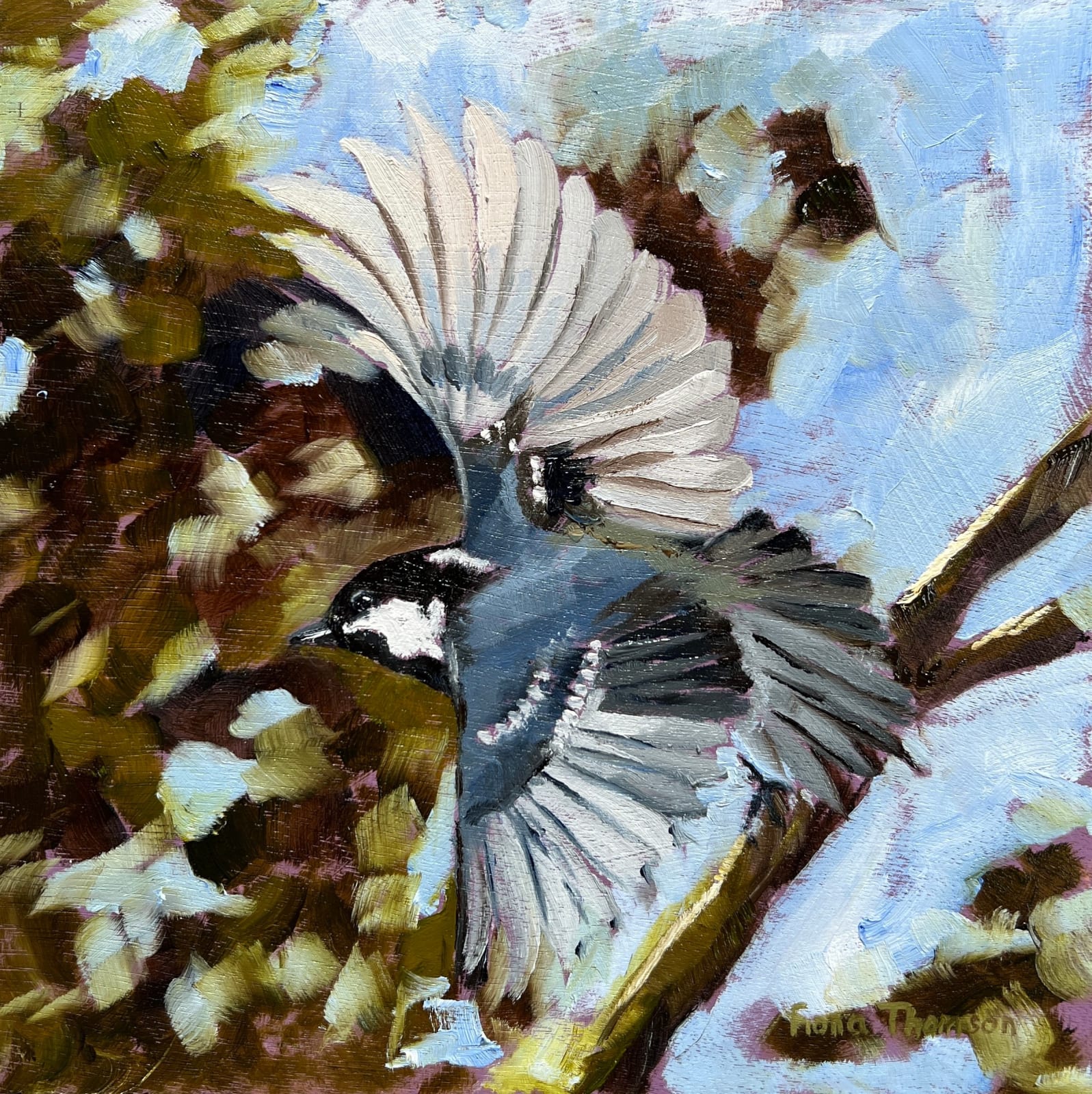 Fiona Thomson, Take Off, Great Tit