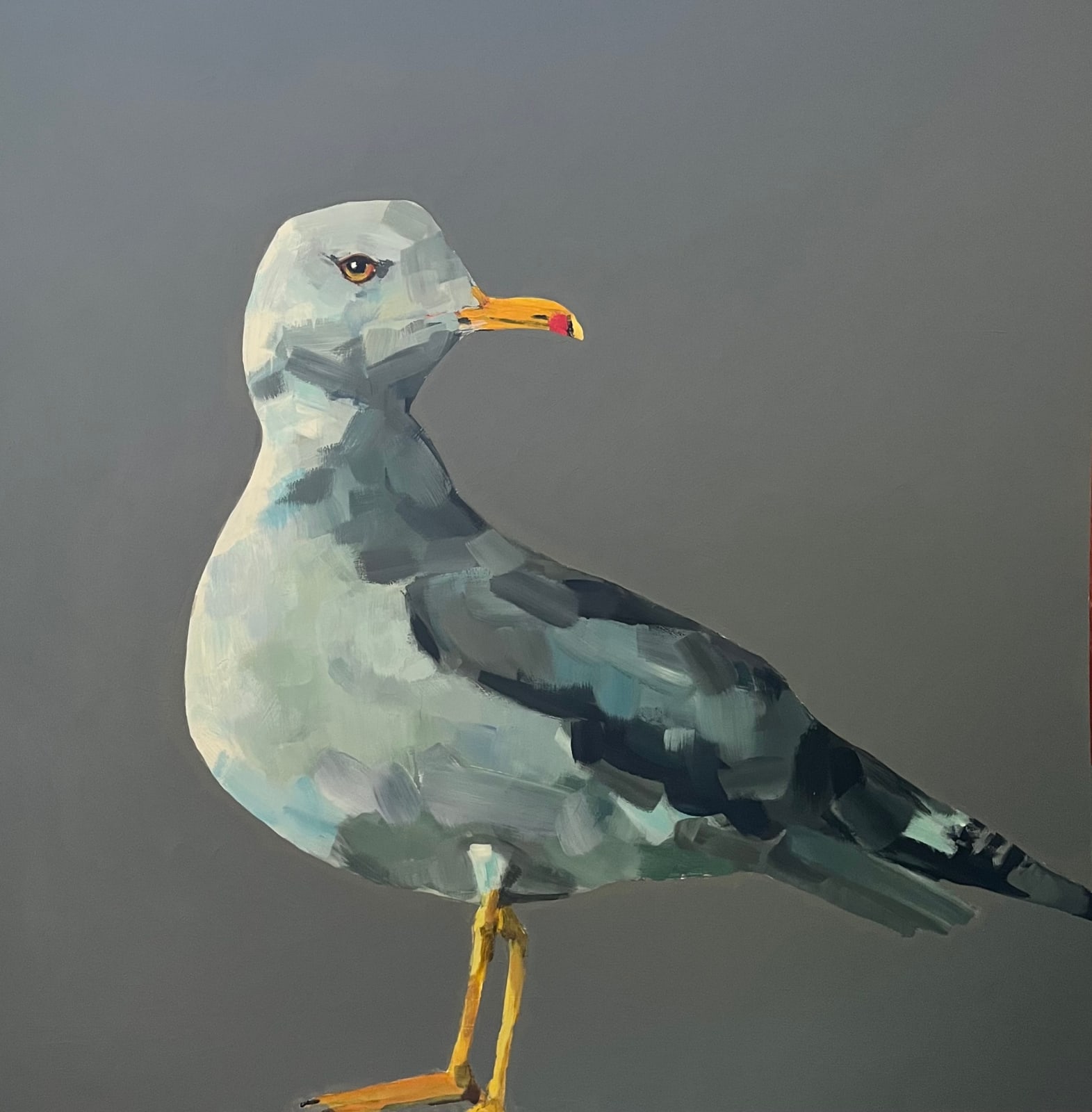 Fiona Sturrock, Seagull