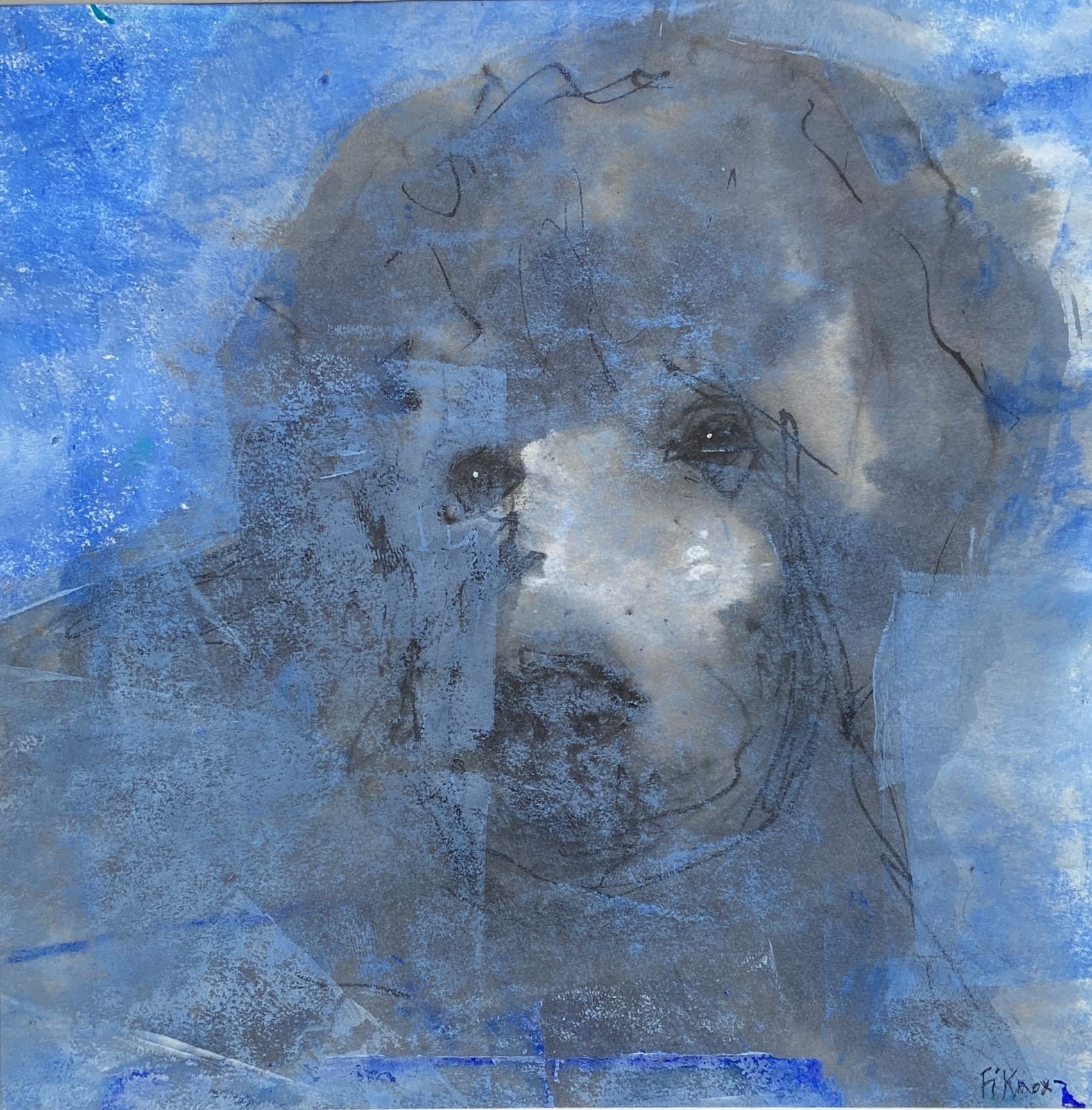Fi Knox, Blue Dreams