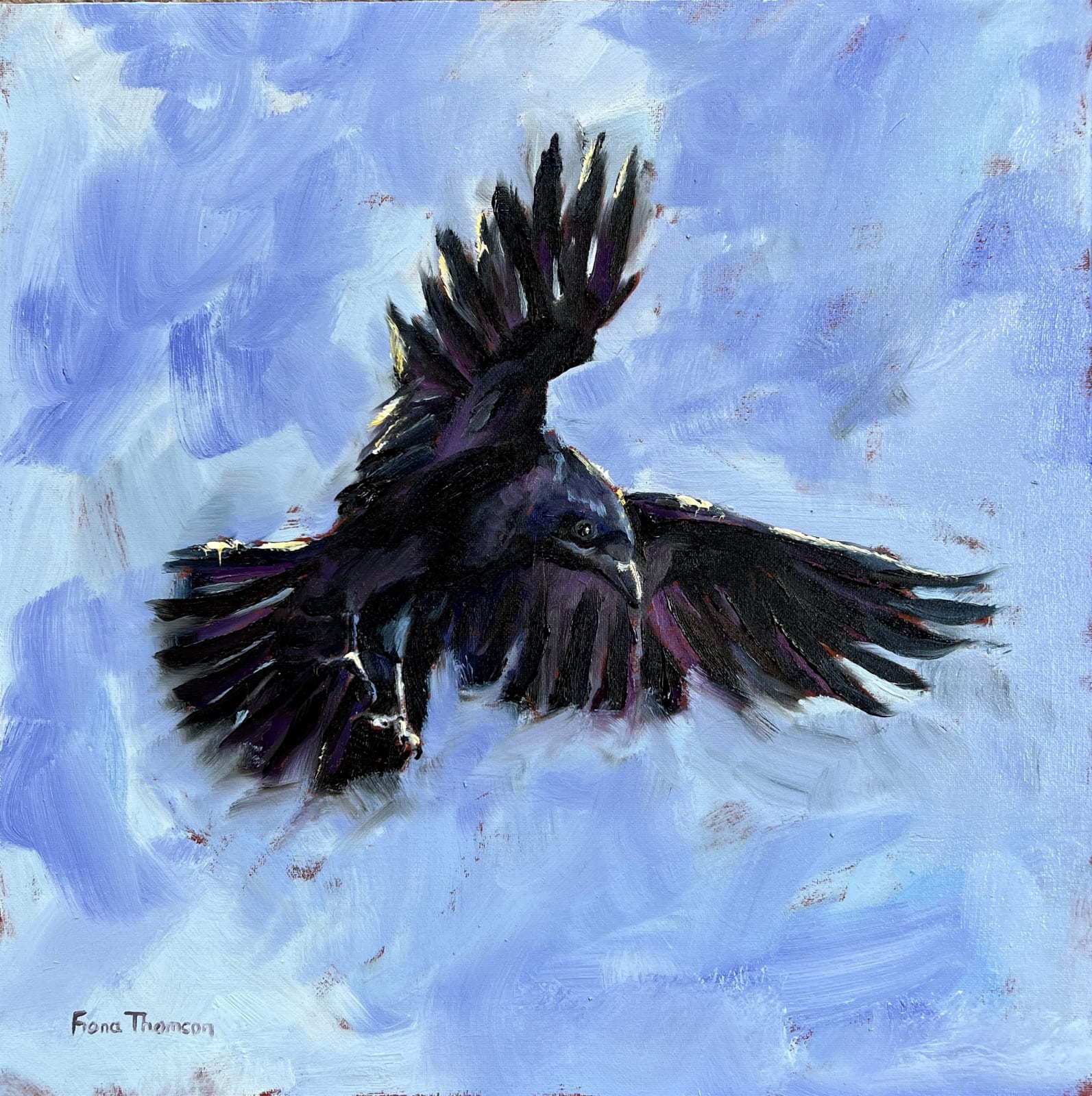 Fiona Thomson, Landing, Crow