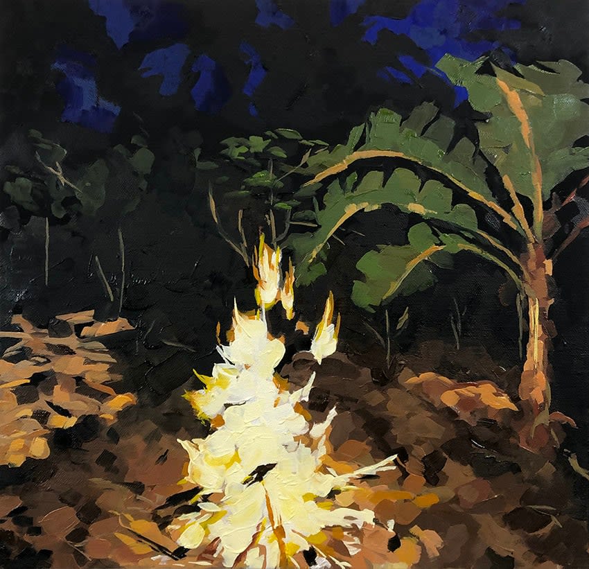 Kathryn Johnson, The Absurdity of a Fire in the Jungle