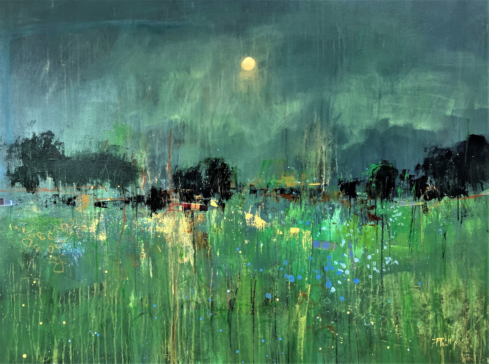 Amanda Phillips, Night Meadow
