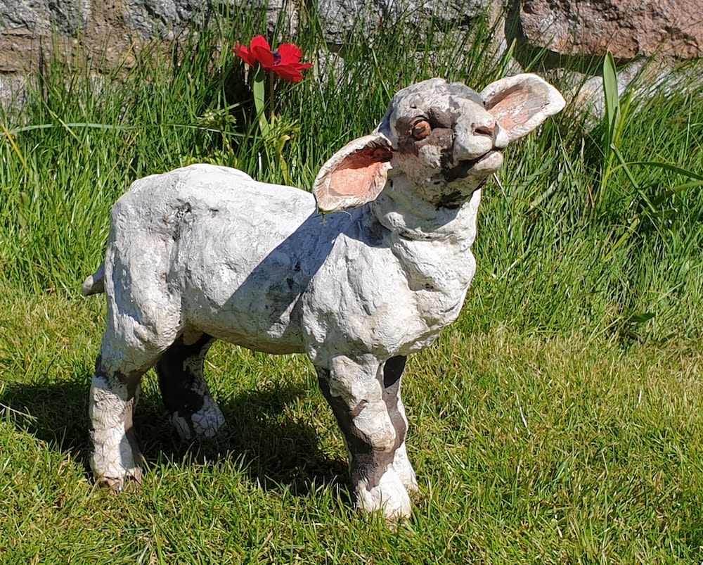 Lesley D McKenzie, Spring Lamb