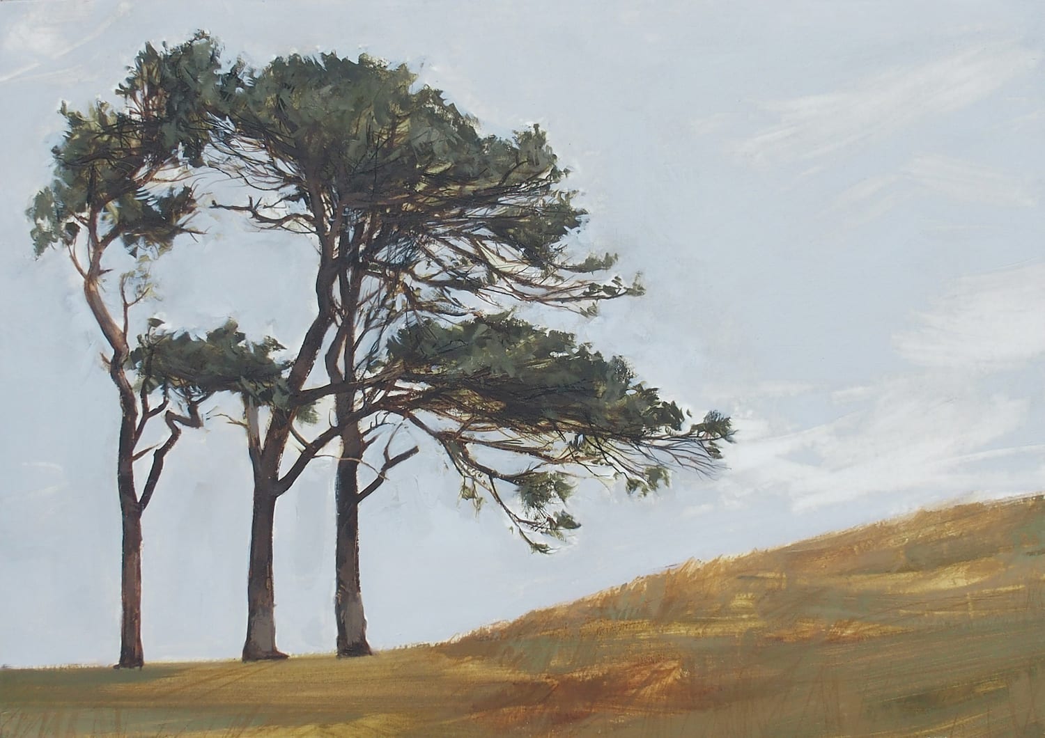 Anna King, Scots Pines, Great Hetha