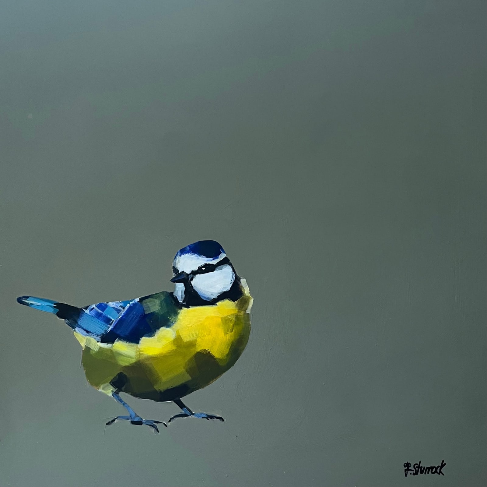 Fiona Sturrock, Bluetit