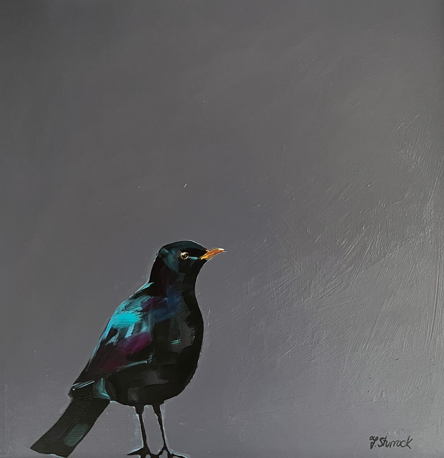 Fiona Sturrock, Blackbird I