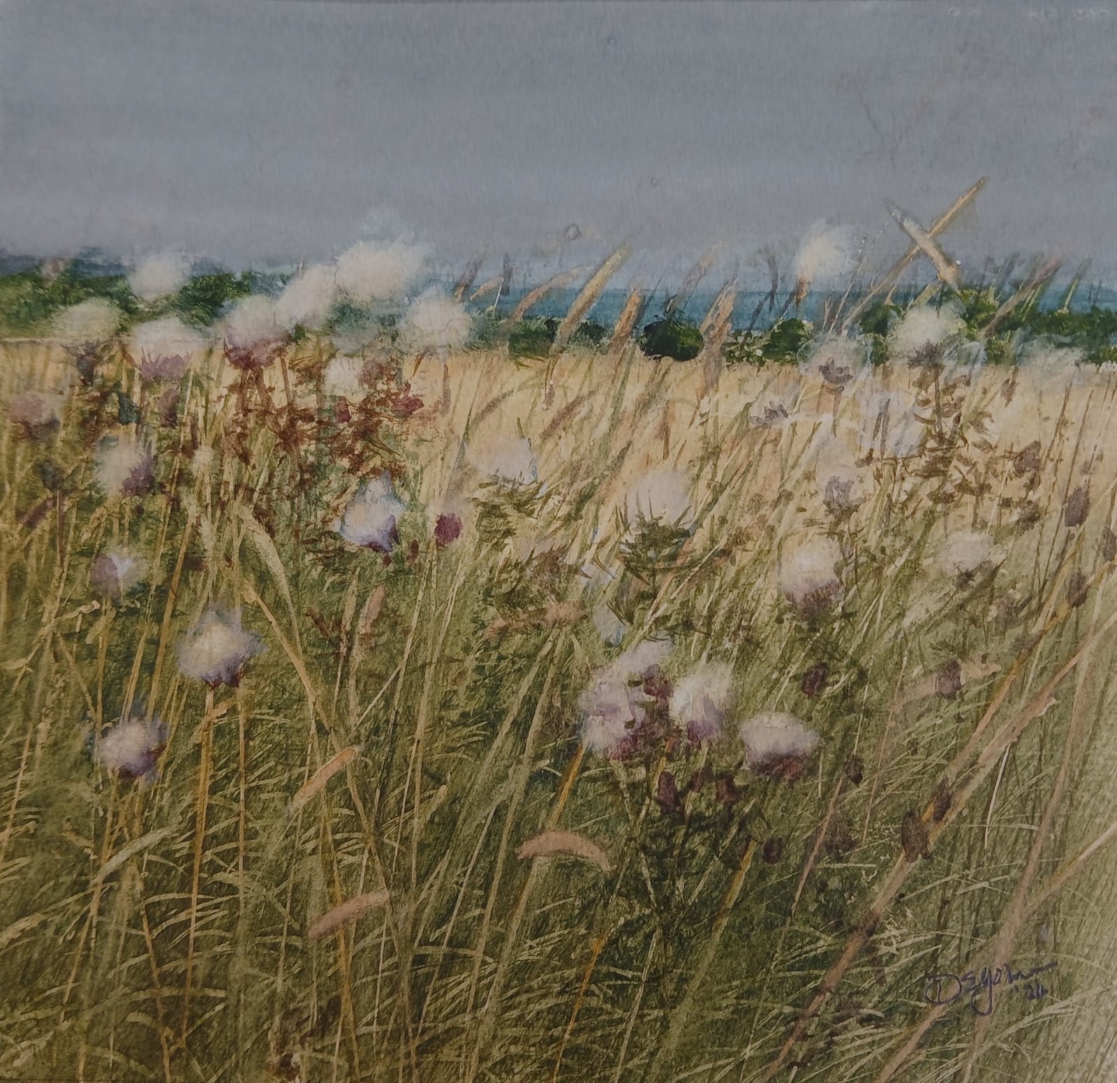 David Johnston RSW, Thistledown, August