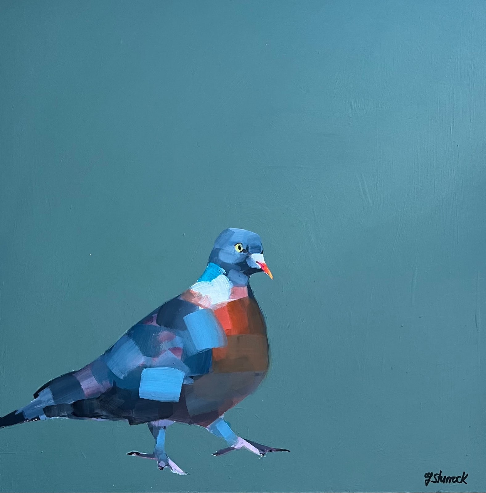 Fiona Sturrock, Wood Pigeon