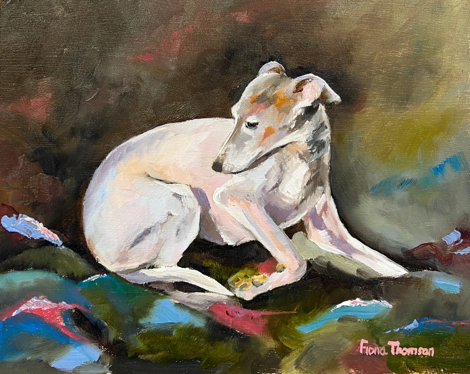 Fiona Thomson, White Dog and Blanket