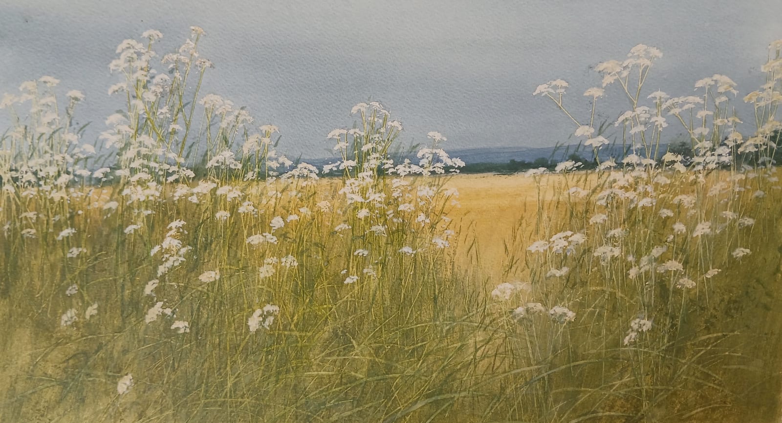 David Johnston RSW, July Field Edge, The Mearns II