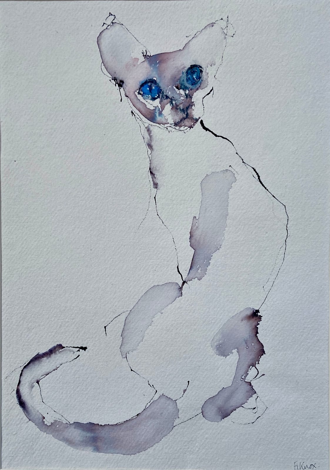 Fi Knox, Siamese