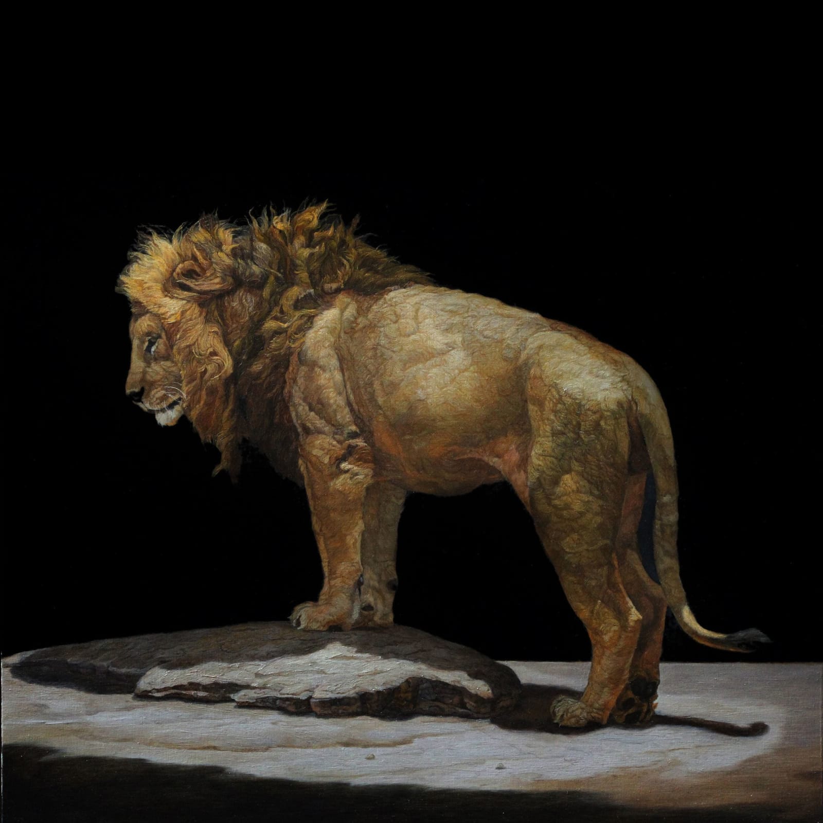 Patricia Traub, LION STANDING ON A KOPJES, 2019