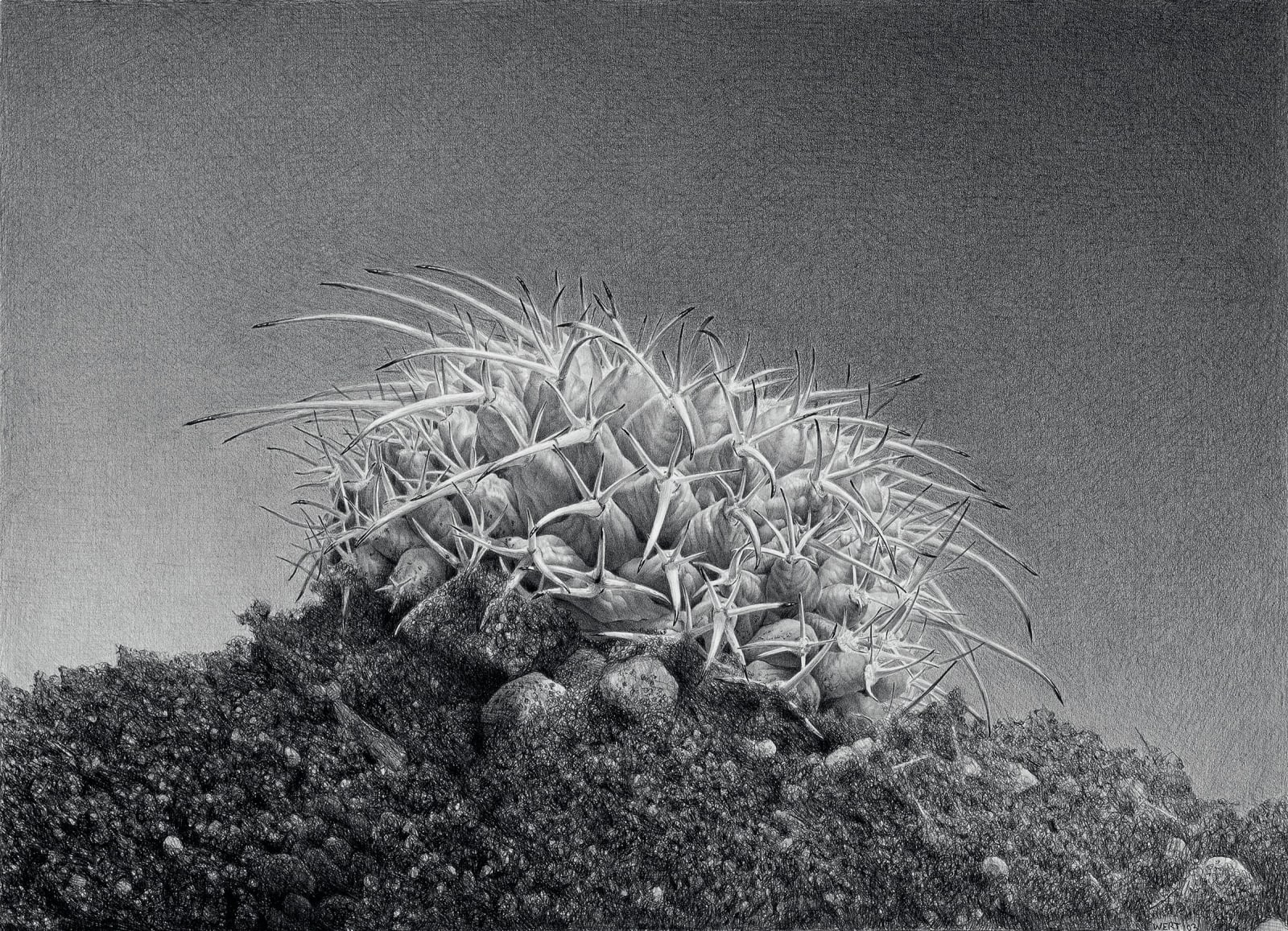 Eric Wert, WIDE, 2002