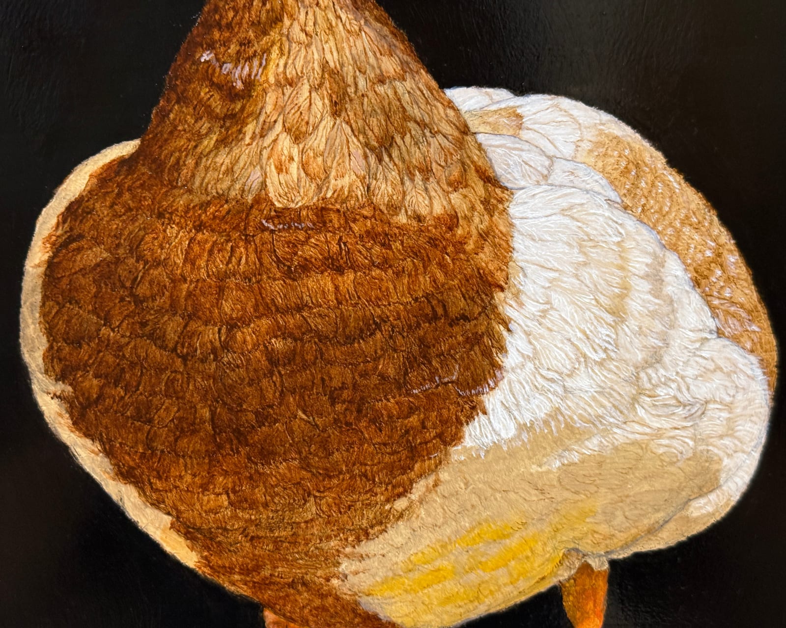 Painting of a mallard duck