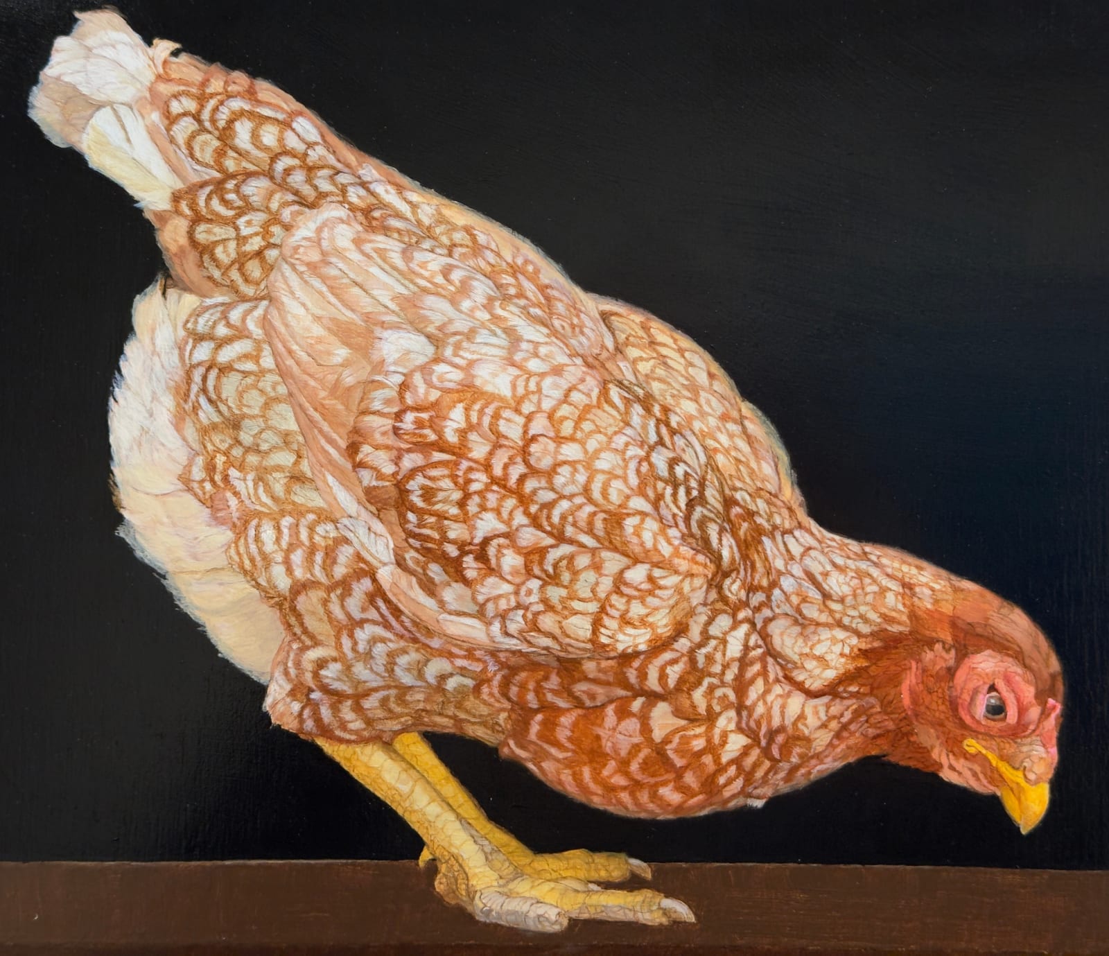 Painting of a pecking chicken