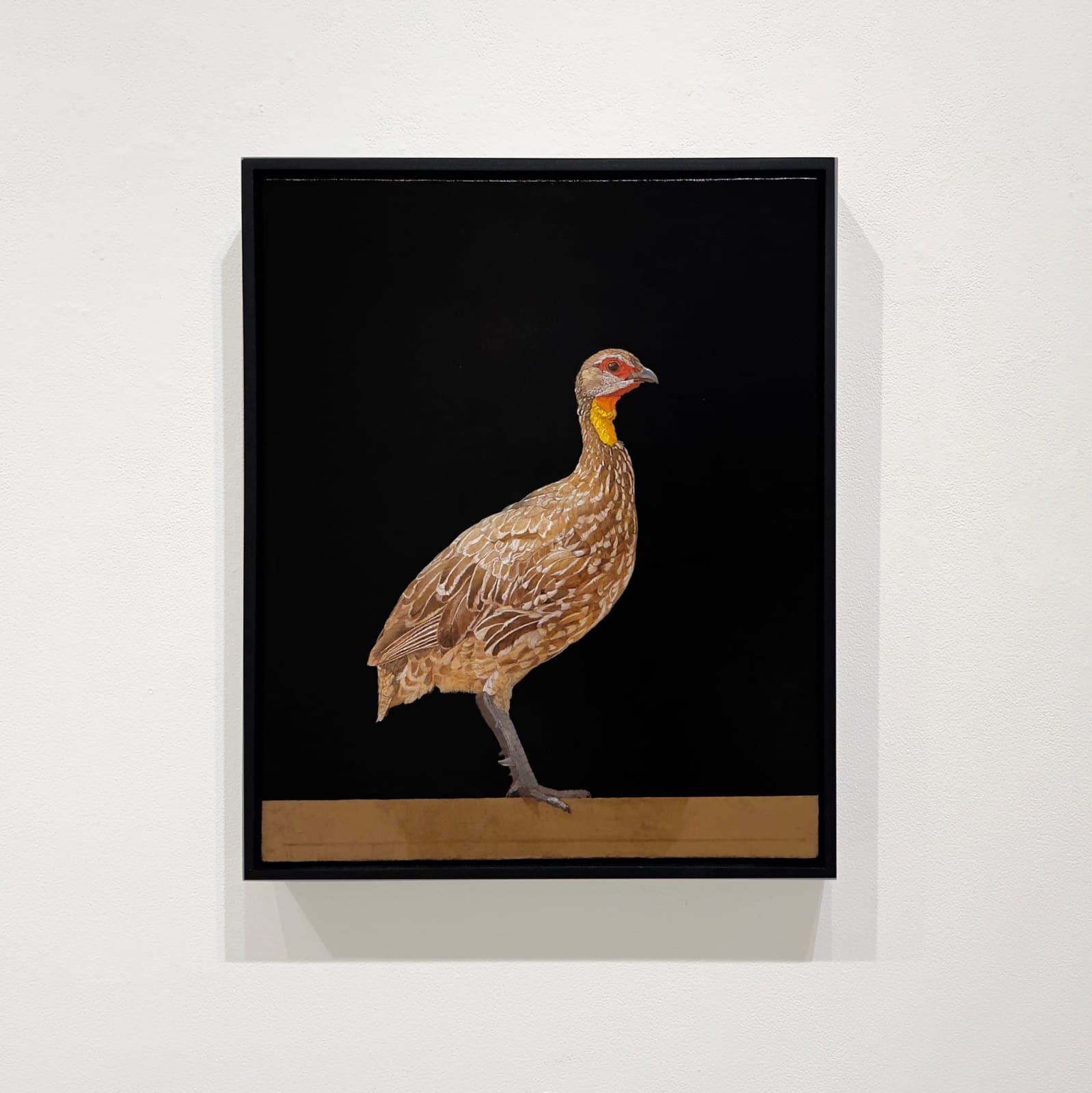 Painting of an African ground bird