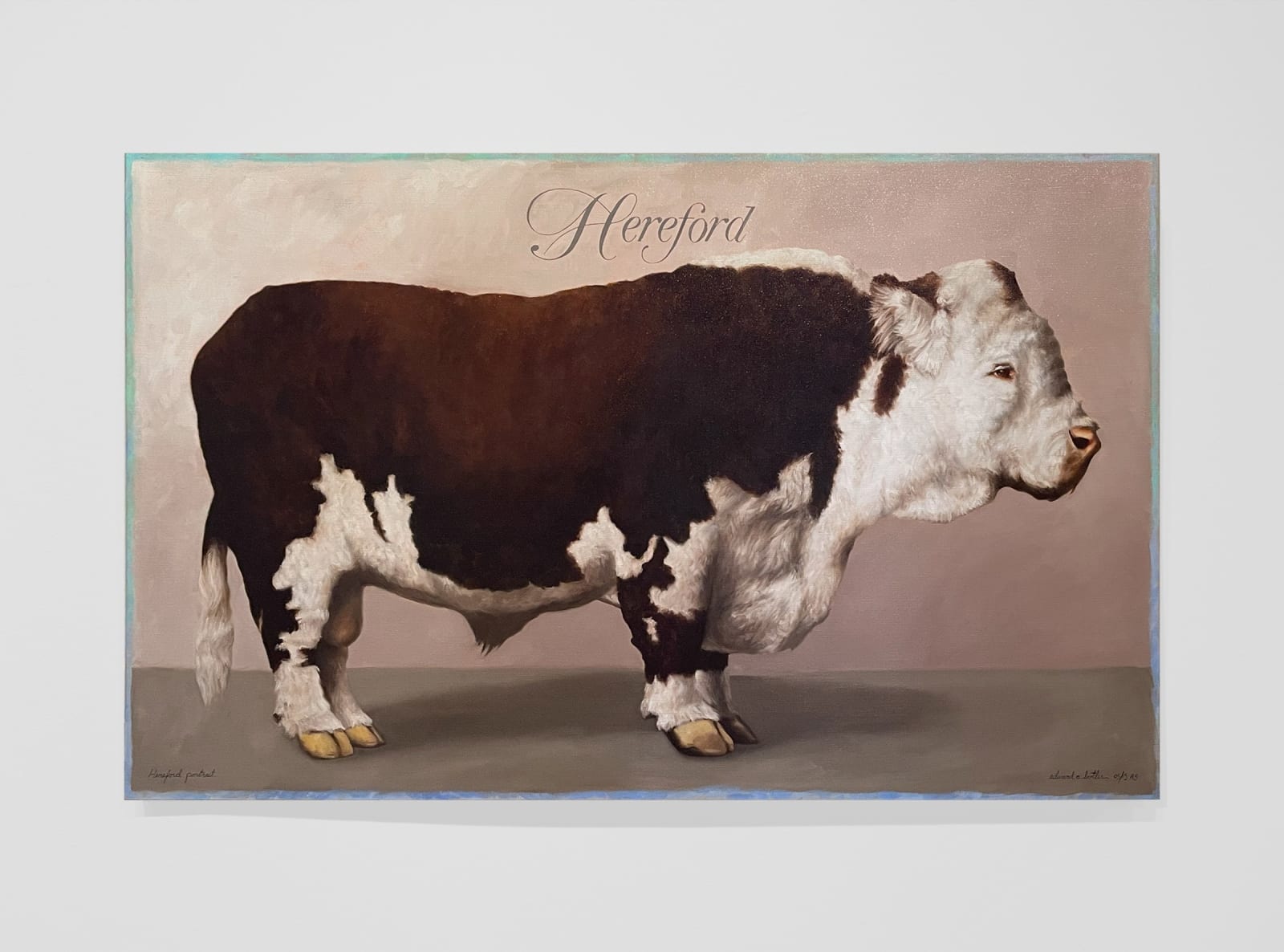 Still life of large cow
