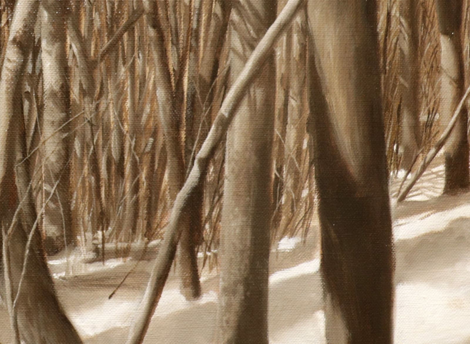 Detail of View through a forest in winter