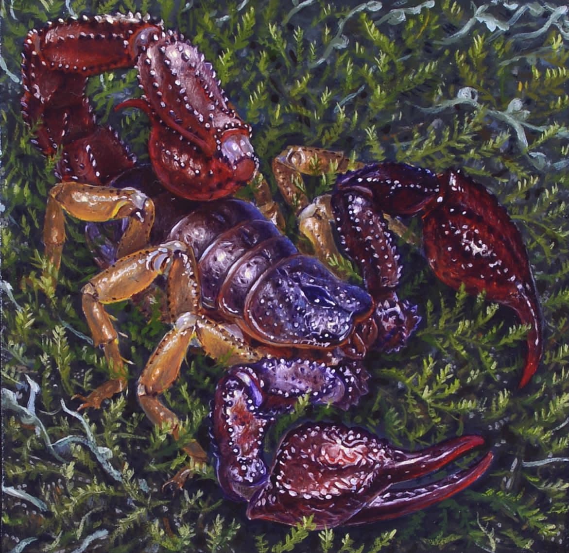 Eric Wert, SCORPION, 2017