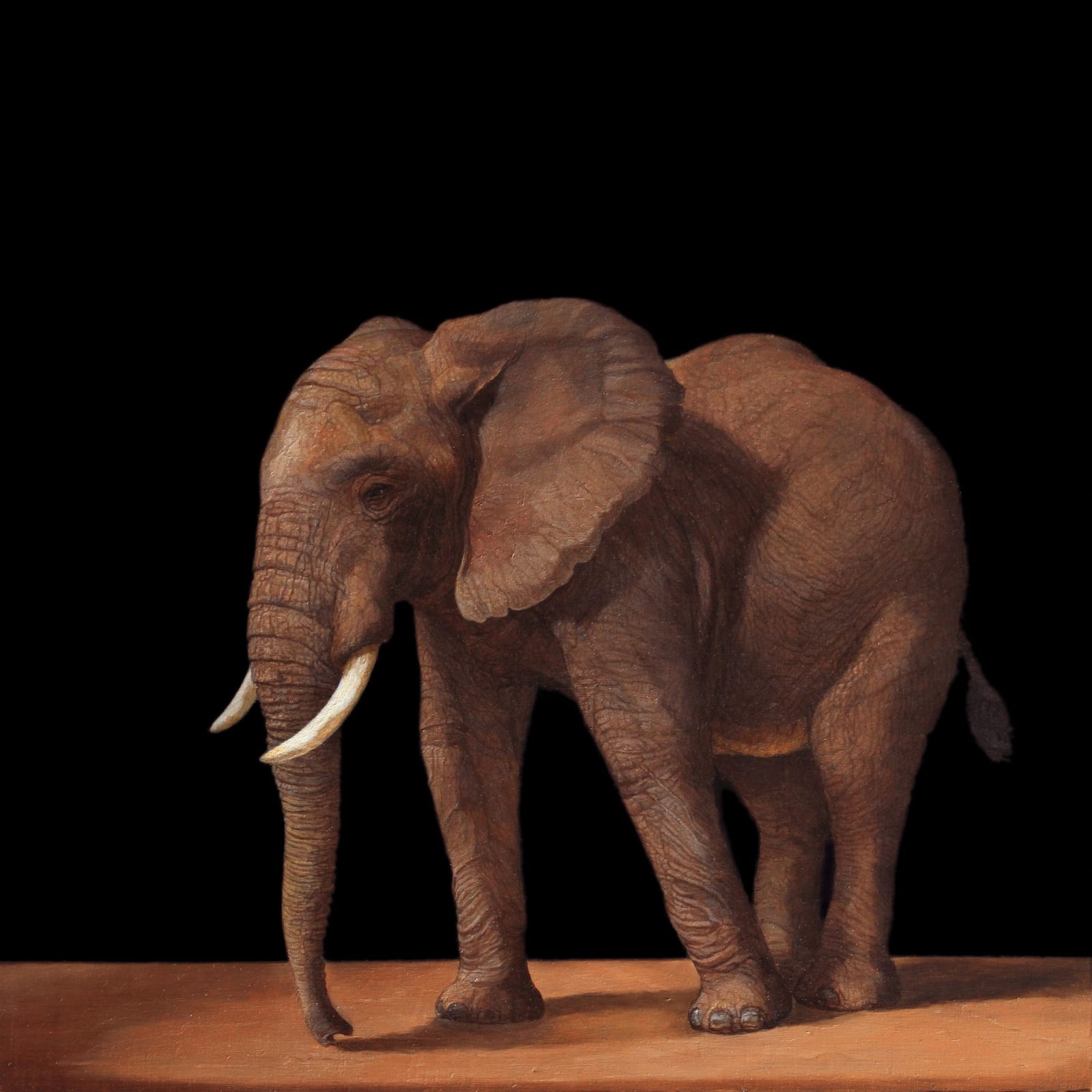 Oil painting of young African elephant isolated on panel
