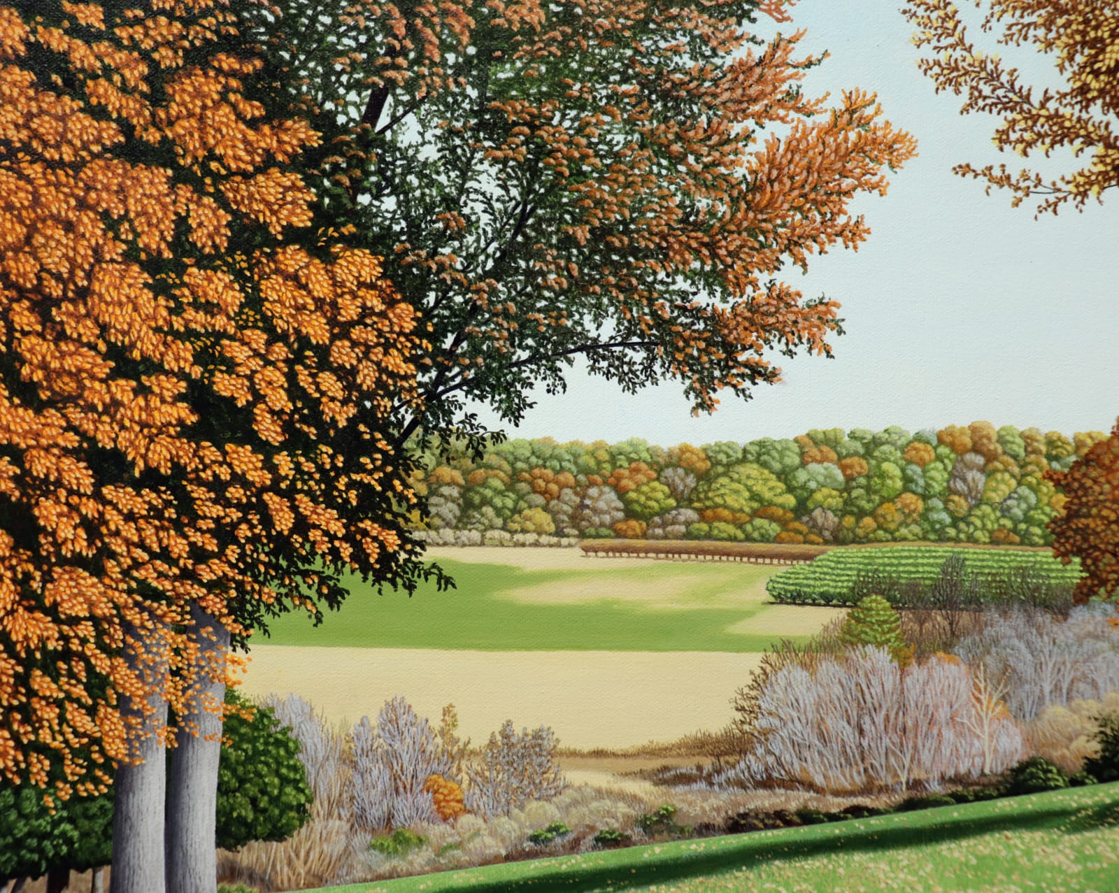 Oil painting of trees before fields in fall on canvas