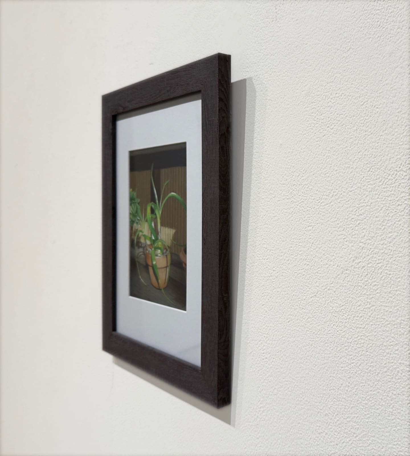 Colored pencil drawing of a plant